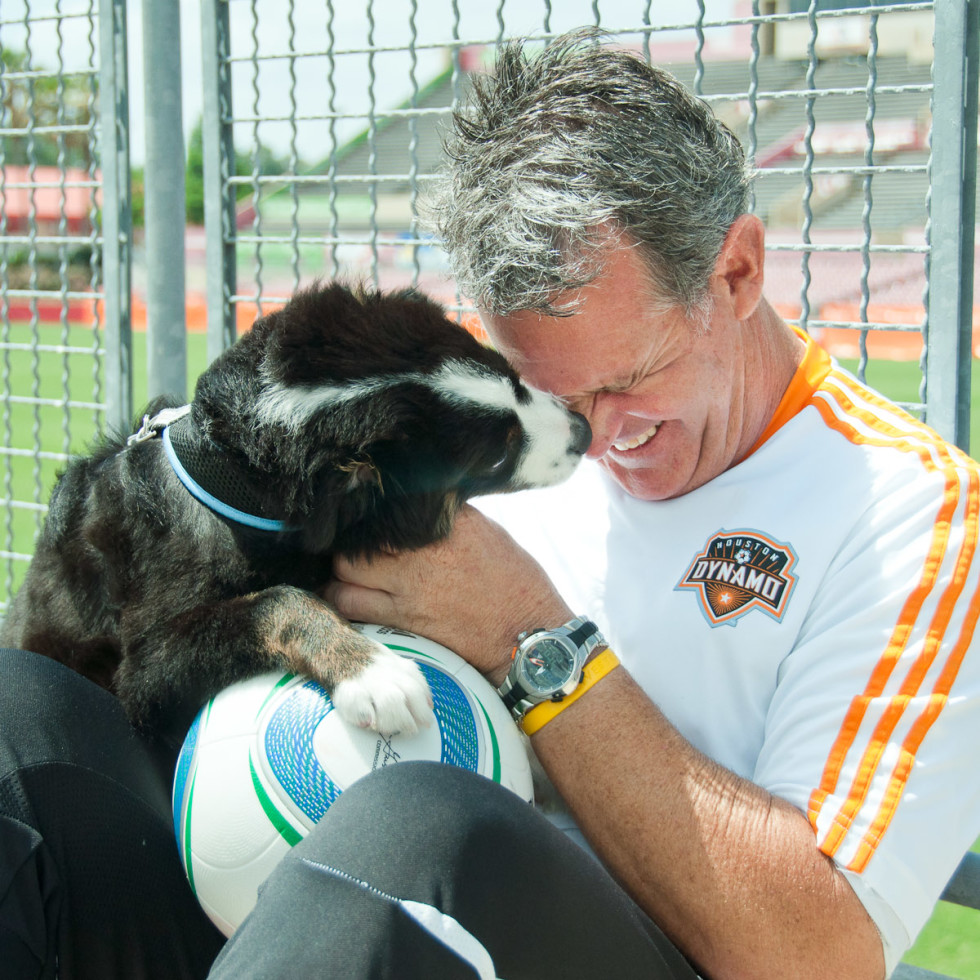 The gray hair of Dynamo dating Hands Hanley promises firstclass r