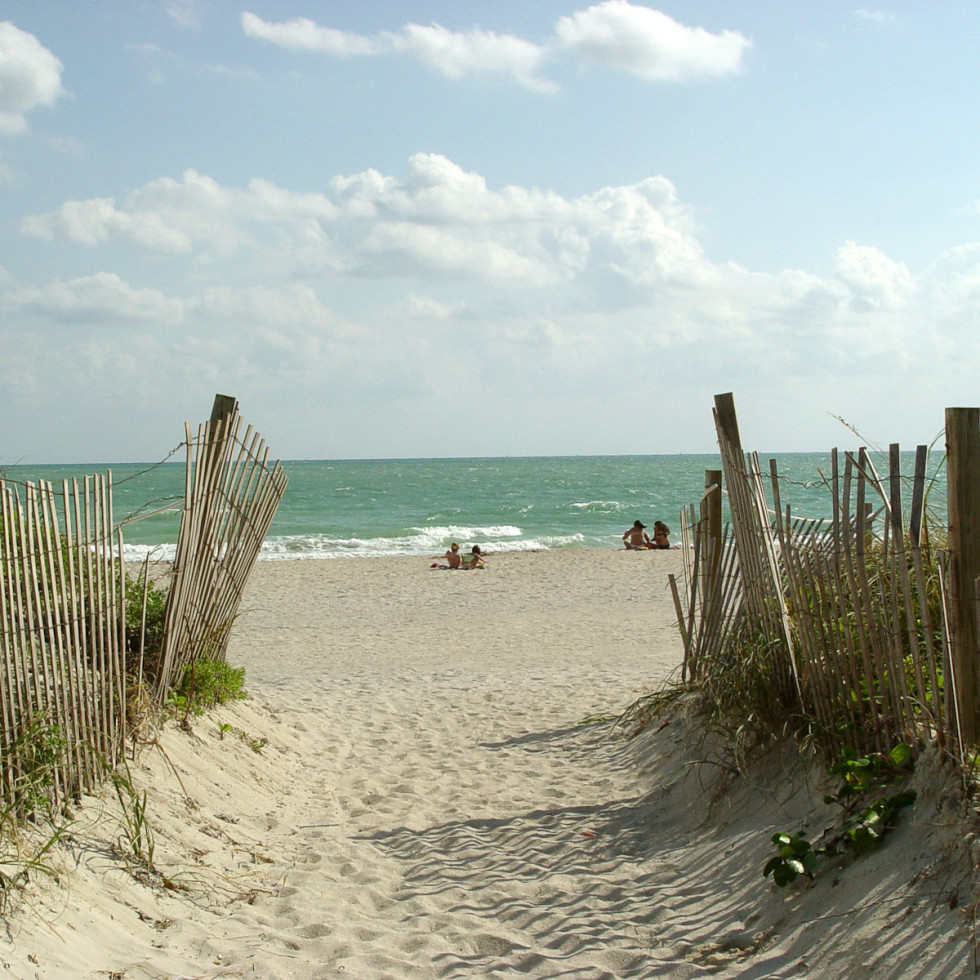 Sleep with the fishes? Galveston beaches covered in mysterious fis