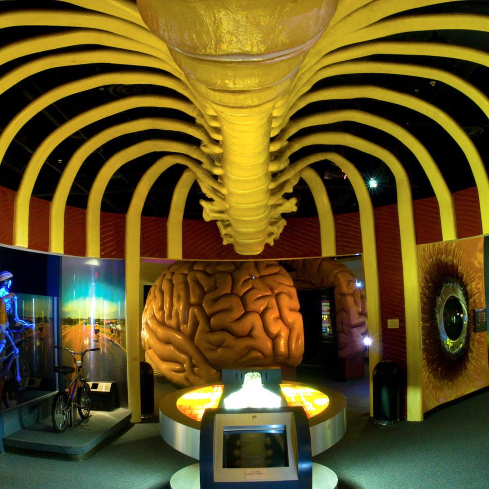 Health Museum - CultureMap Austin