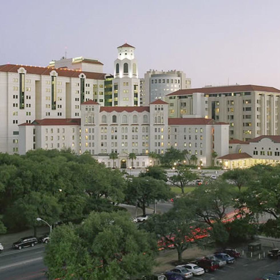 Willowhtyuihtyuincaid