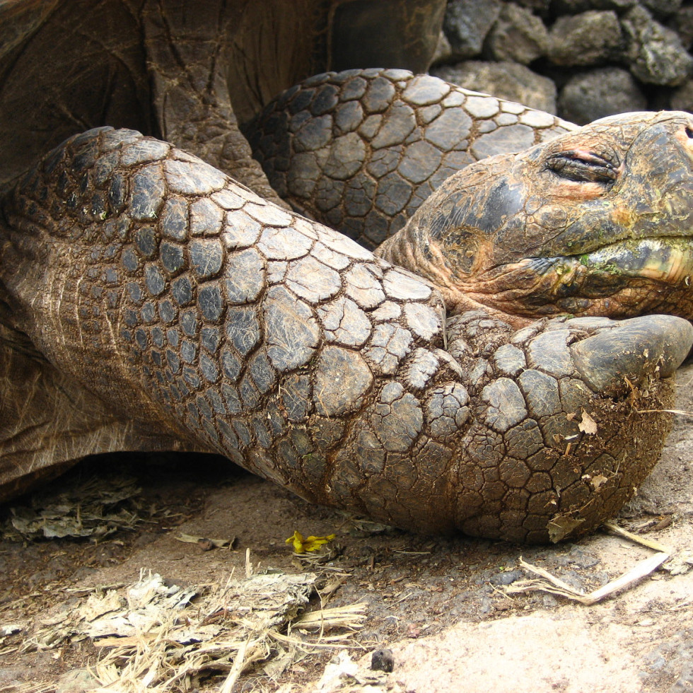 News_Galapagos