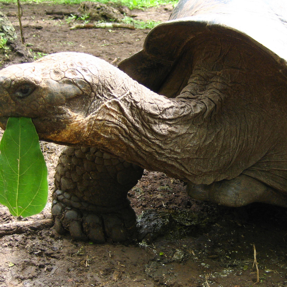 News_Galapagos