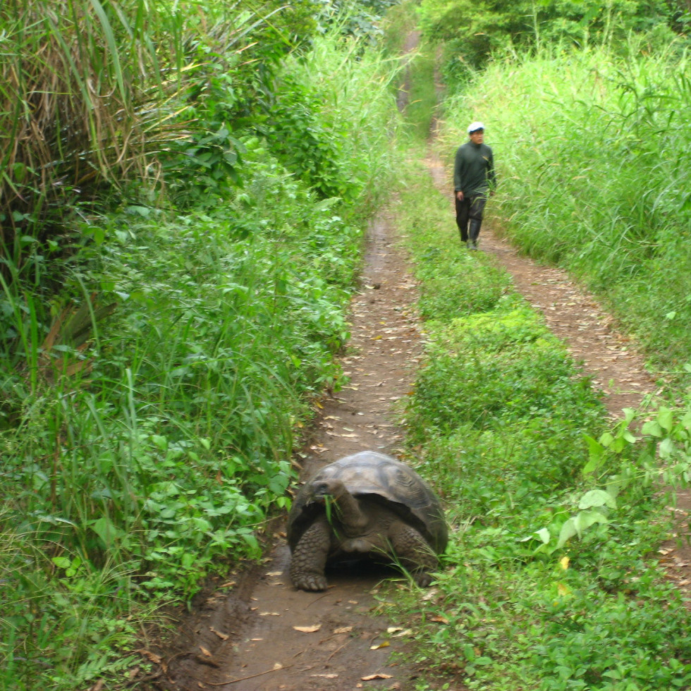 News_Galapagos