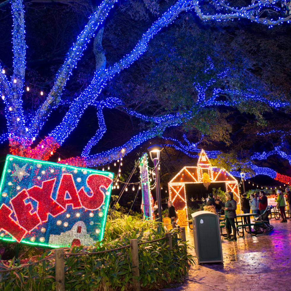 Houston Zoo's eco-conscious actions help the holidays shine bright ...