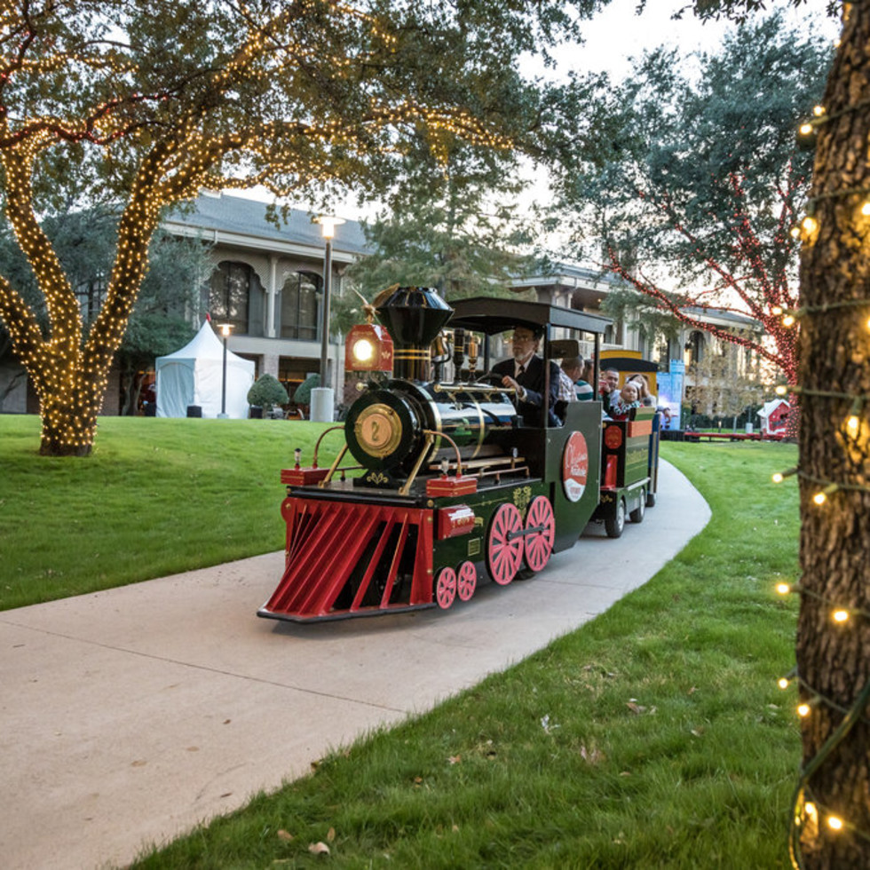 peppermint park houston wiki