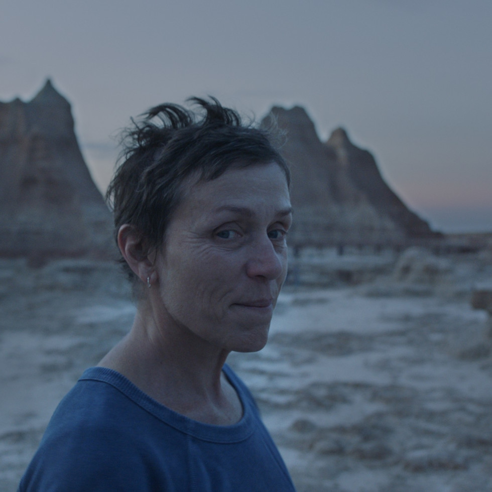 Frances McDormand takes fascinating journey in beautiful ...