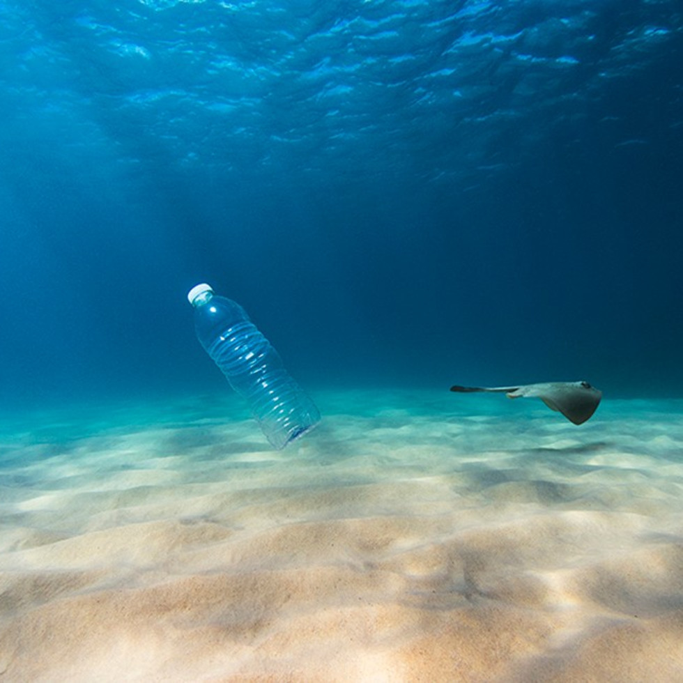 plastic bottle ocean