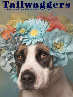 Austin Pets Alive presents Tailwaggers