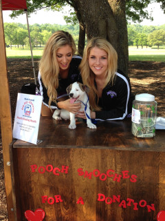 Operation Kindness presents 2017 Dog Day Afternoon