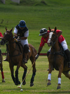 Central Texas Polo Association presents Centennial Cup Polo Tournament