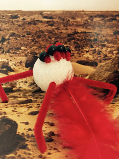 Red Planet Day Celebration