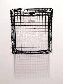 Iris Bechtol: Carry