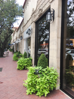 Spring Shopping Stroll