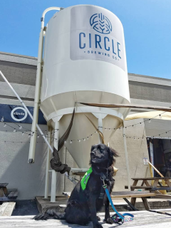 Barks for Beers Kickoff Party