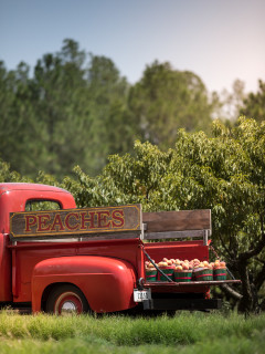 Fredericksburg Peach Market