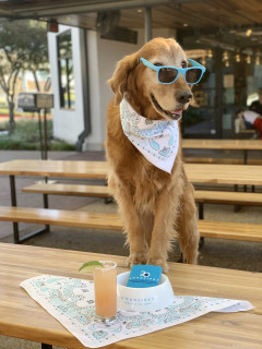 Brunch with Emancipet