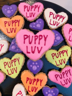 Bakery Lorraine + Austin Pets Alive! Adoption Event