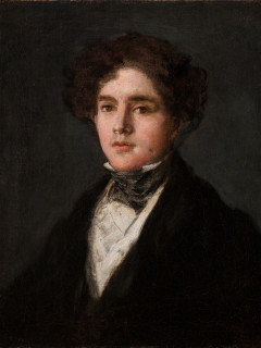Goya's Portrait of Mariano Goya, the Artist's Grandson