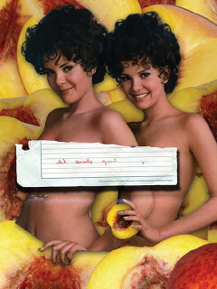 Box 13 Artspace presents Katherine Rhodes Fields: Scratch and Sniff