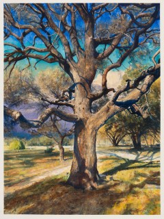 Valley House Gallery & Sculpture Garden presents Bob Stuth-Wade: "The Comfort of Trees"