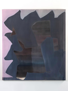 Conduit Gallery presents Marcelyn McNeil: Briefly Gorgeous