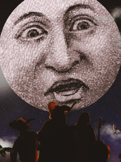 In The Garden: Under The Moon