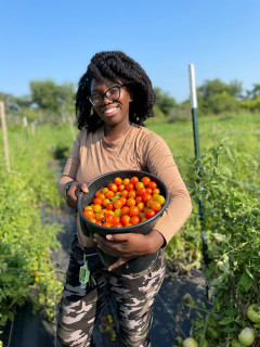 Tomato You Pick