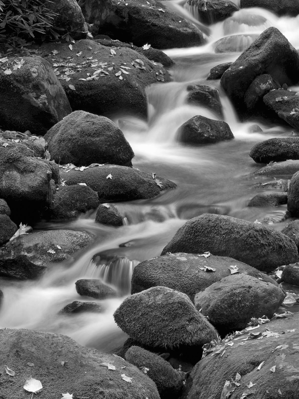 Mark Burns photo of Roaring Fork Branch at Great Smoky Mountain National Park