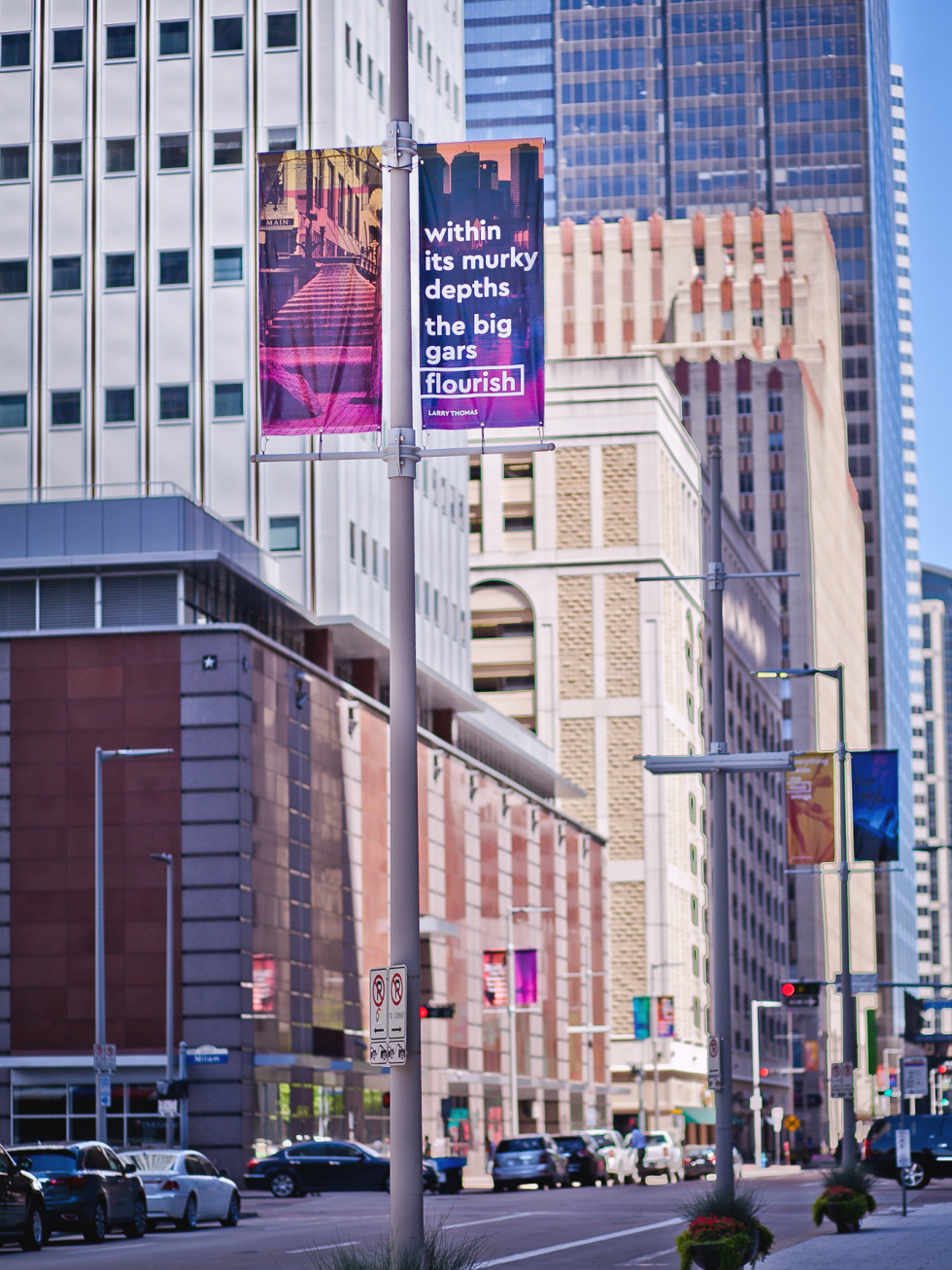 Downtown District banners