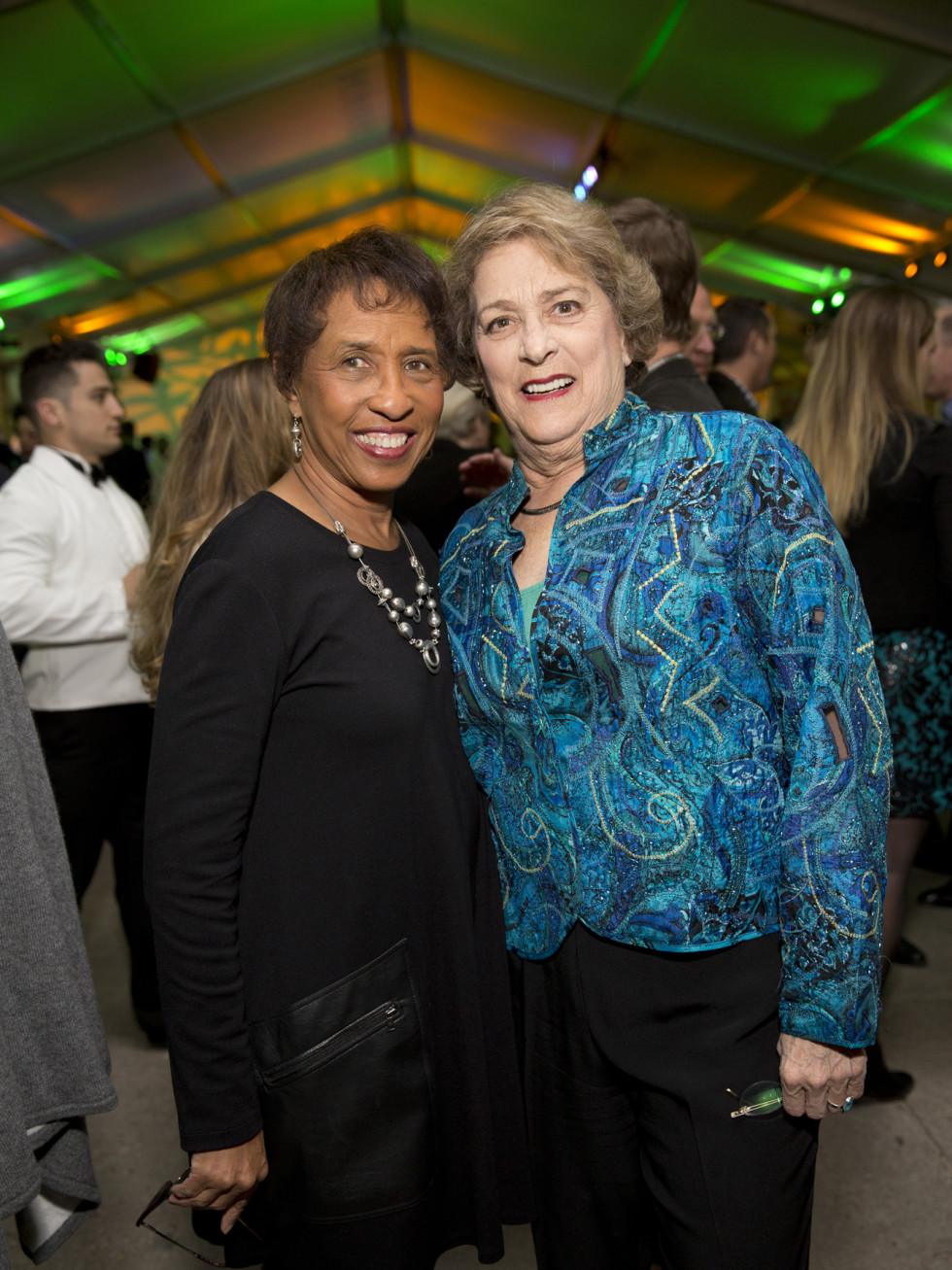 Memorial Park Conservacy Gala, Feb. 2016, Sharon Owens, Ellen Cohen