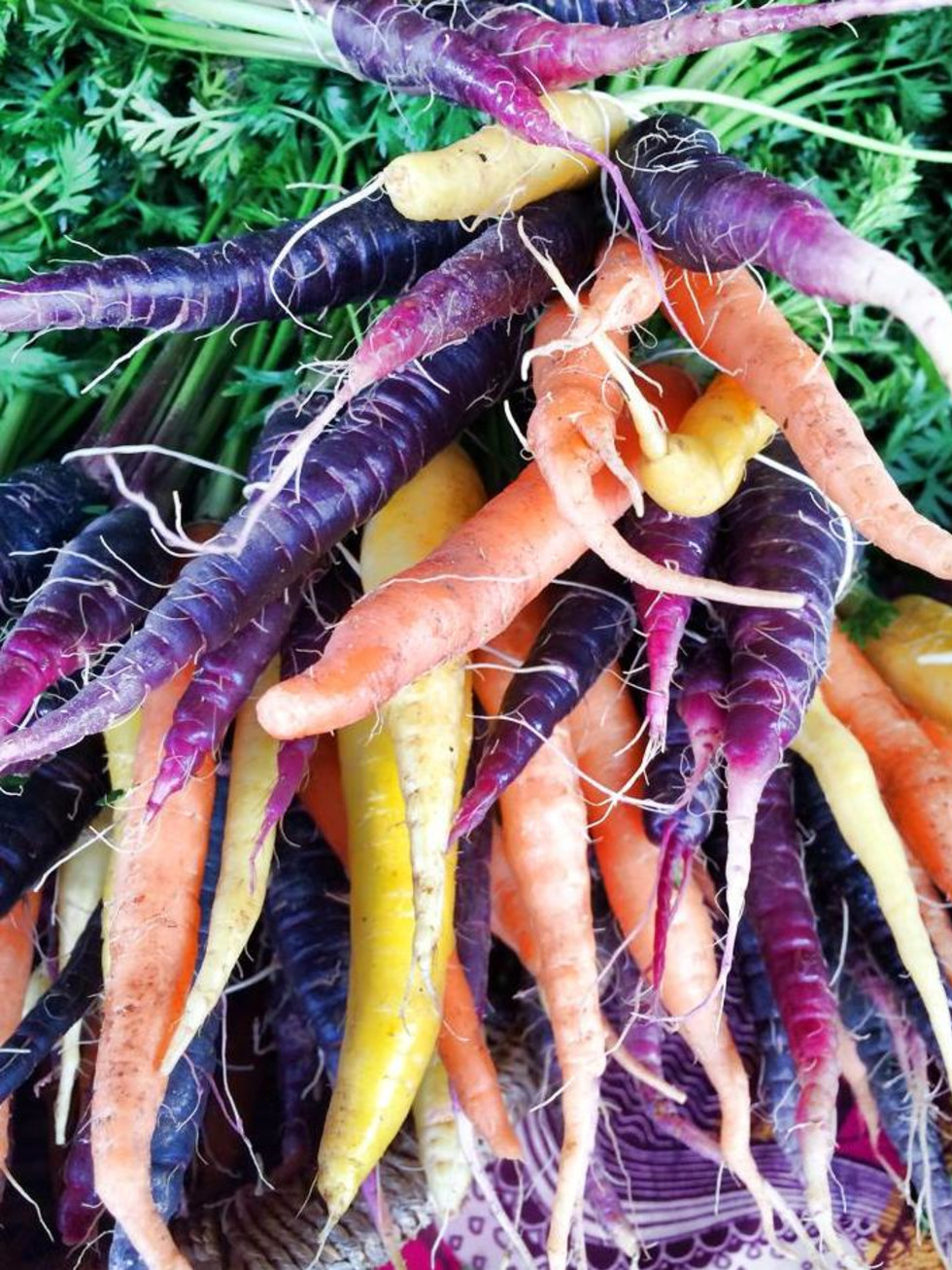 Houston, sustainable holiday gift guide, Animal Farm CSA