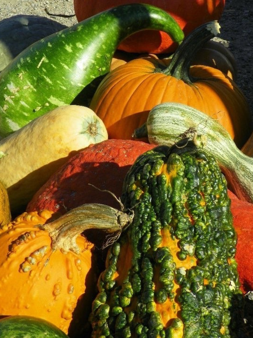 Coppell Farmers Market