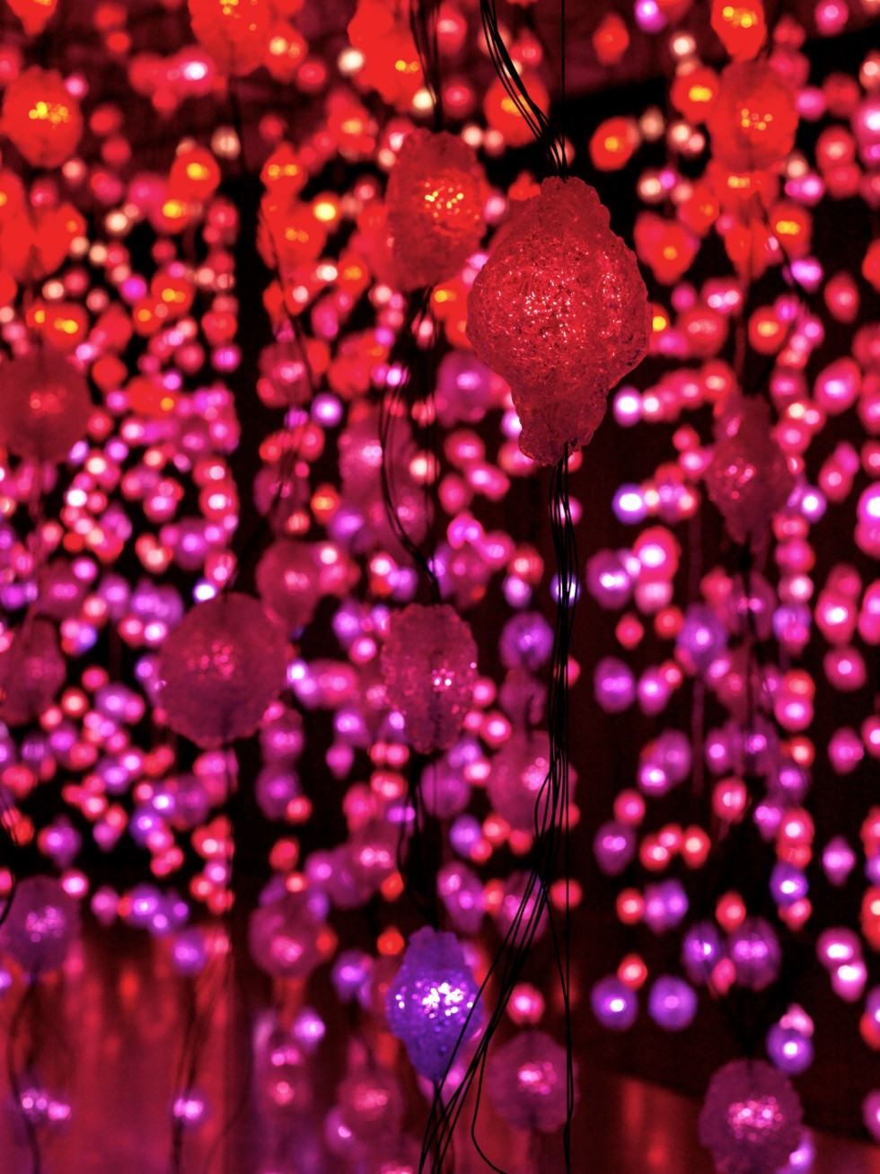 Houston, Pipilotti Rist exhibit, June 2017, pixel forest red