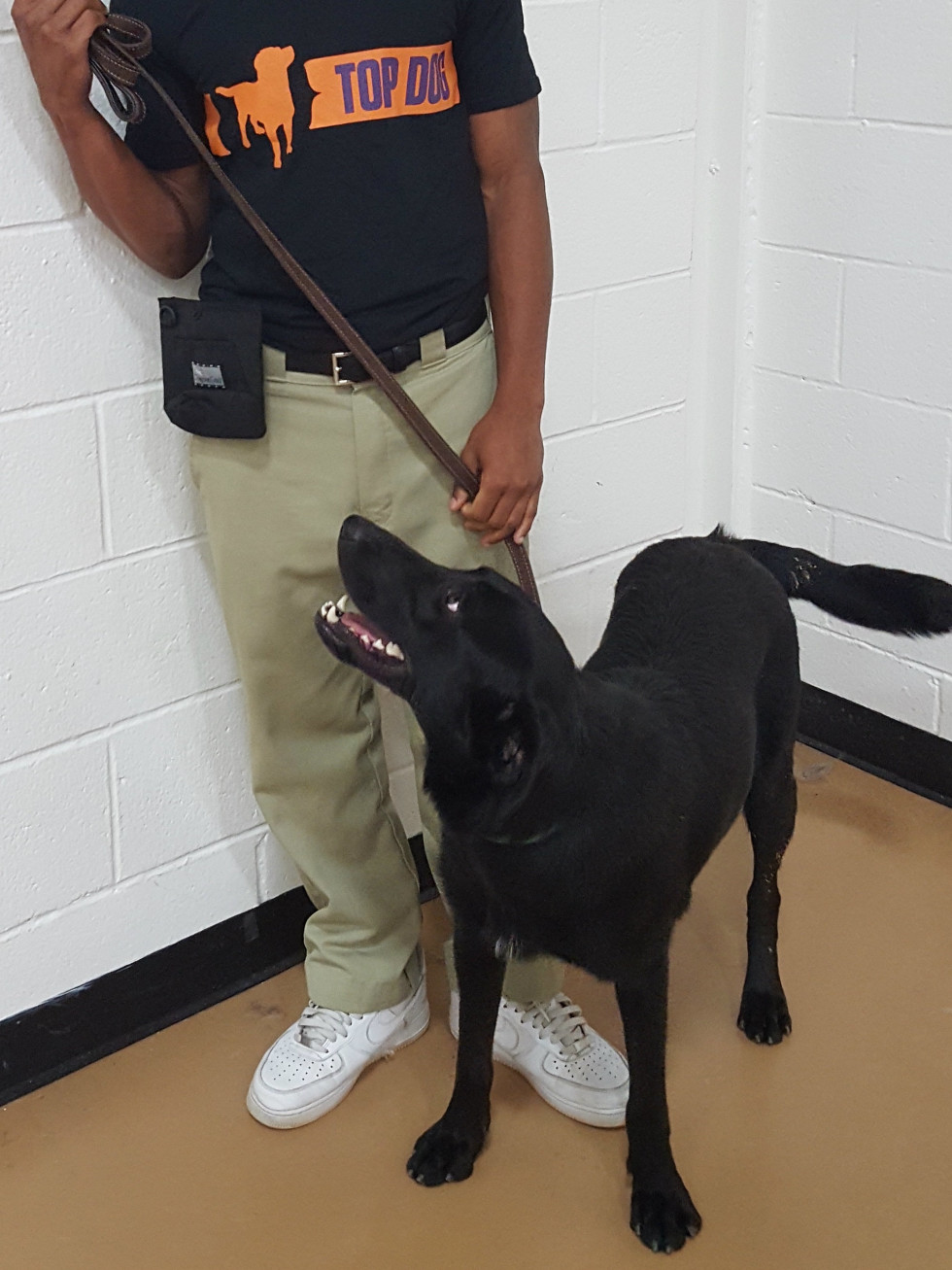 Youth With Faces PREP dog training program teaches patience, responsibility, empathy and partnership