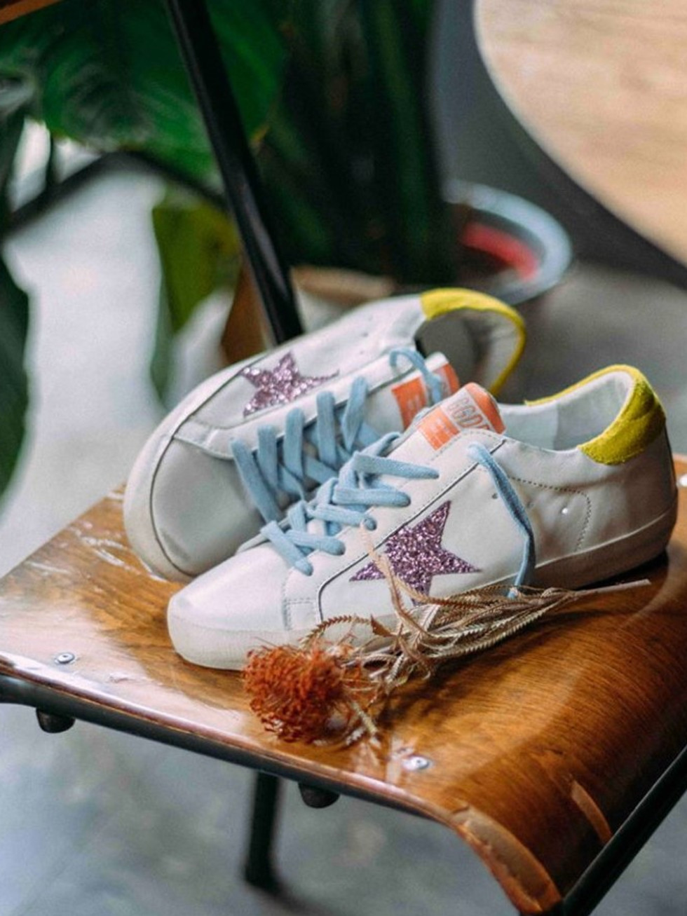 Golden Goose