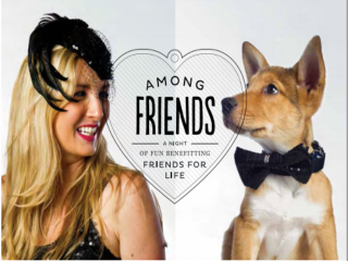 2015 "Among Friends" Gala