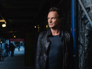 Sting musician