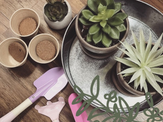Ruibal's Plants of Texas presents Spring Break