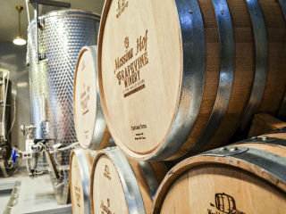 Messina Hof Winery Grapevine