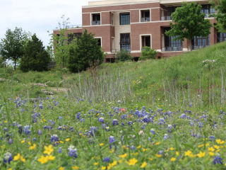 George W. Bush Presidential Center presents Bluebonnet Tours