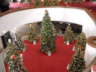 Deck the Trees