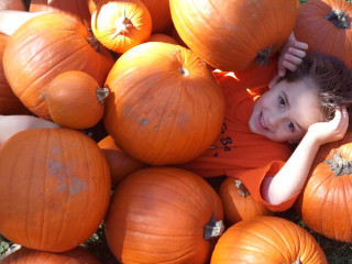 21st Annual Pumpkin Patch at the Nature Discovery Center