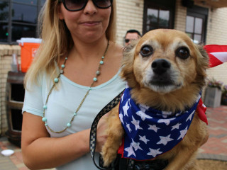 Pup Crawl