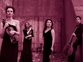 Daedalus Quartet