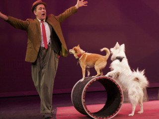 Eisemann Center presents Mutts Gone Nuts