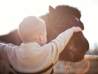 Trinity Falls presents Rodeo on the River