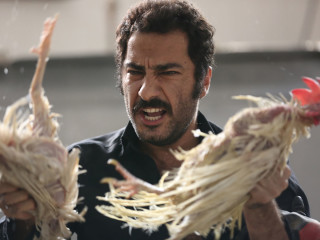 2017 Sheed Persian Film Festival Event Culturemap Dallas #persianfilm | 137.9k people have watched this. culturemap dallas