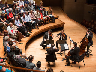 A Musician's View