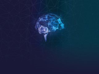 Music and the Brain