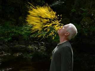 Leaning into The Wind: Andy Goldsworthy